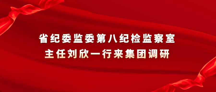 省纪委监委第八纪检监察室主任刘欣一行来集团调研